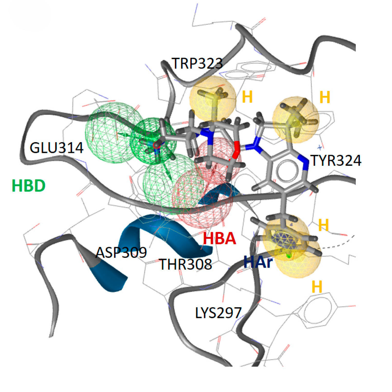 Modélisation moléculaire d'une interaction ligand-protéine